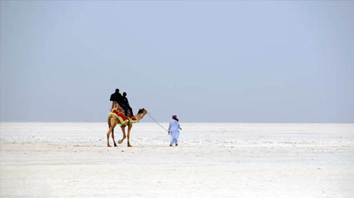 Great Rann sunset landscape
