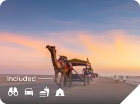 Camel cart on the white desert at sunset